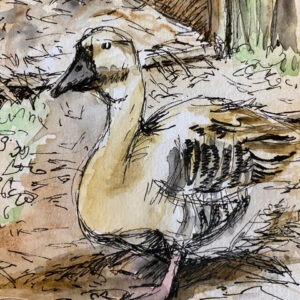 "Margo" Greetings card