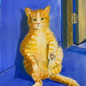 Ginger cat lying back against the wall with his tummy exposed