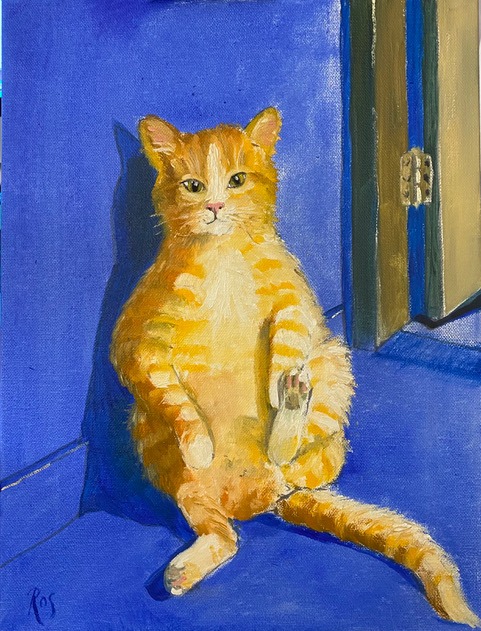 Ginger cat lying back against the wall with his tummy exposed