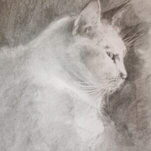 "Tiger" Greetings card