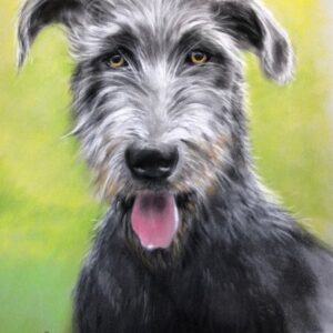 "Jameson" Greetings card